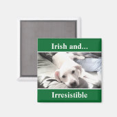 Foto van Cute White Labrador Mix St. Patrick's Day Magneet (Voorkant / Achterkant)