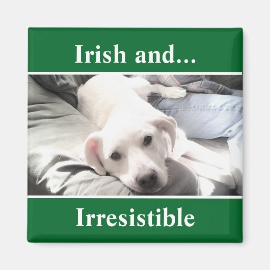 Foto van Cute White Labrador Mix St. Patrick's Day Magneet (Voorkant)