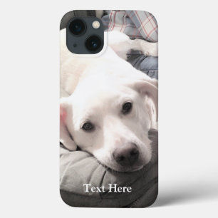 Foto van Cute White Labrador Retriever Mix Dog iPhone 13 Hoesje