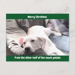 Foto van Cute White Lazy Dog met pap Green Feestdagenkaart