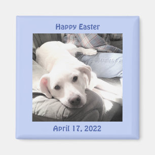 Foto van Cute White Puppy Dog Easter Gift Blue Magneet