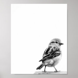 Foto van Cute Wild Bird Poster