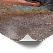 Foto van de bengele borst van man perfect poster (Hoek)