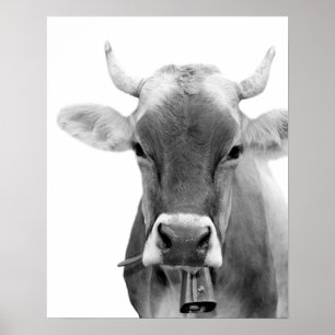 Foto van de boerderij van zwarte en witte koeien poster