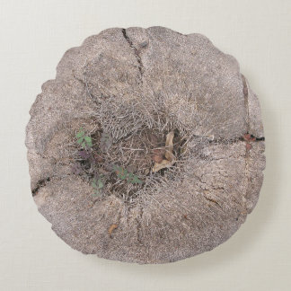 Foto van de botanische snijpalm rond kussen