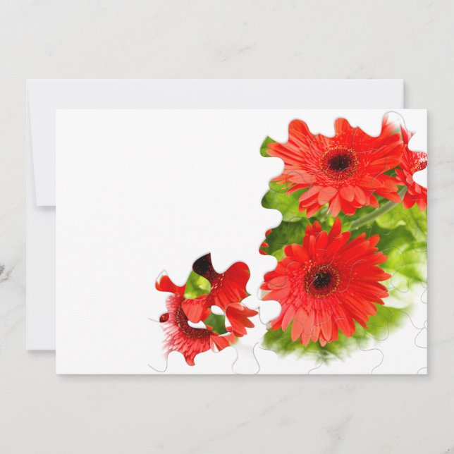 Foto van de duitse dwerg (Voorkant)