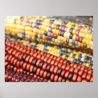 Foto van de Indiase Corn Rustic Poster