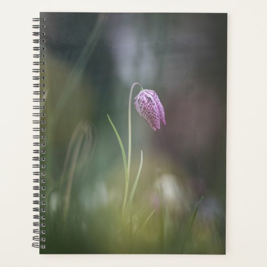 Foto van de kauwbloem Natuur Planner (Voorkant)