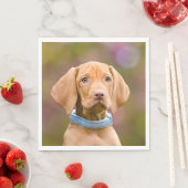 Foto van de luidop in het Hongaars Vizsla Dog Servet (Insitu)