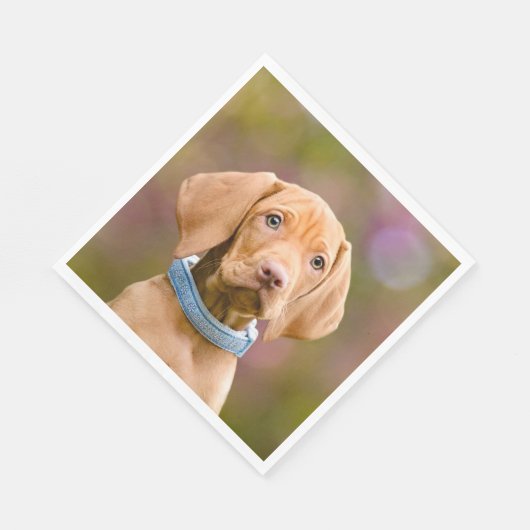 Foto van de luidop in het Hongaars Vizsla Dog Servet (Hoek)