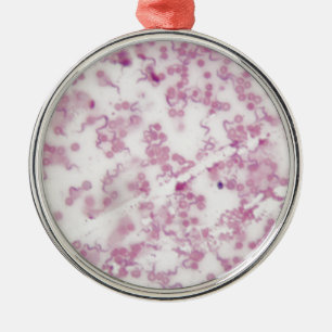 Foto van de microscoop van menselijk bloed met Try Metalen Ornament