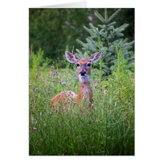 Foto van de natuur van Deer en bloemen