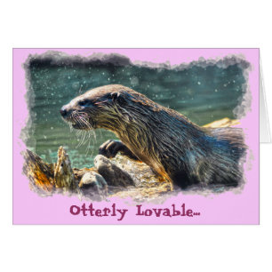 Foto van de Otter Animal-lover van het wild