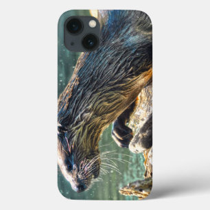 Foto van de Otter Animal-lover van het wild iPhone 13 Hoesje