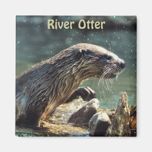 Foto van de Otter Animal-lover van het wild Magneet
