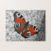 Foto van de peacock-vlinder legpuzzel (Horizontaal)
