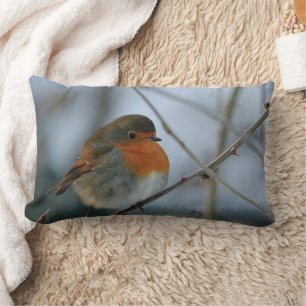 Foto van de rode borstvogel van Cute Robin Kussen