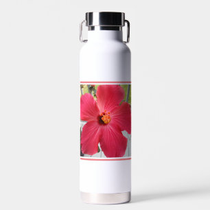Foto van de roze bloem van de Bijbel van Solomon V Waterfles