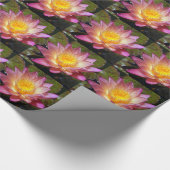 Foto van de roze waterLily Cadeaupapier (Hoek)