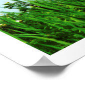 Foto van de Scène met Cattails Ducks Dock Poster (Hoek)