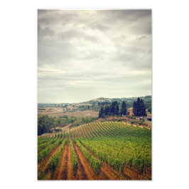 Foto van de wijngaard van Toscane met een sombere  Afdruk