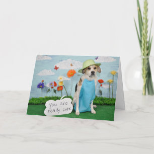 Foto van dog in clothes, "cute" theme for anyone. kaart