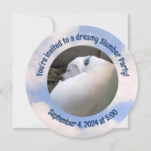 Foto van Dog Slapen Slumber Party Uitnodiging