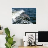 foto van dolfijn poster (Thuiskantoor)