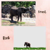 Foto van een African Elephant Flat Kaart