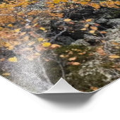 Foto van een bergachtig herfstbos, bergen, p foto afdruk (Hoek)