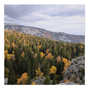 foto van een bergachtig herfstbos, bergen, p perfect poster