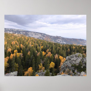 Foto van een bergachtig herfstbos, bergen, p poster