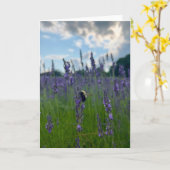 Foto van een bloem uit New England Lege wenskaart Kaart (Gele Bloem)