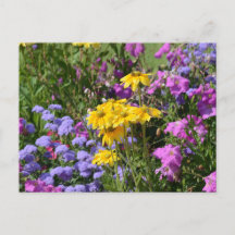 Foto van een bos prachtige gekleurde bloemen