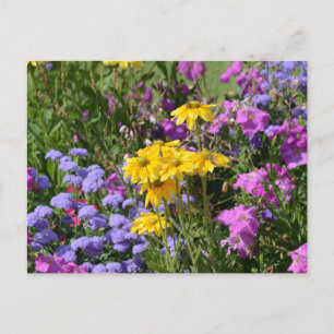 Foto van een bos prachtige gekleurde bloemen briefkaart