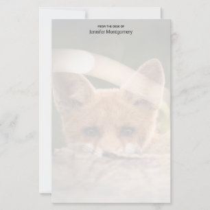 Foto van een Cute Little Oranje Fox