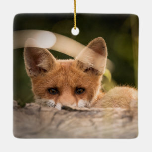 Foto van een Cute Little Oranje Fox Keramisch Ornament