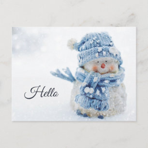 Foto van een Cute Snowman in Winter - Hallo Briefkaart