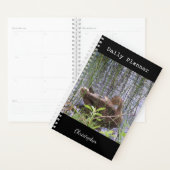 Foto van een eend planner (Display)