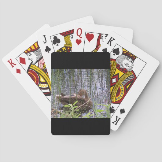 Foto van een eend pokerkaarten (Achterkant)