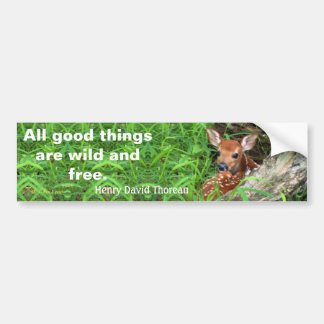 Foto van een flauw en een citaat van Thoreau - Bumpersticker