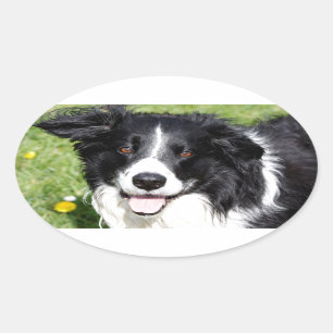 Foto van een gelukkige hond ovale sticker