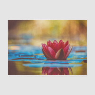  foto van een Lotus Flower in een Pond Tissuepapier