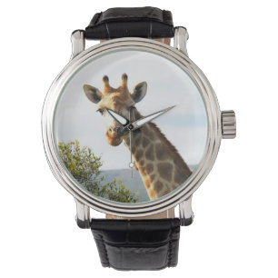 Foto van een mannelijke Giraffe op Safari Horloge
