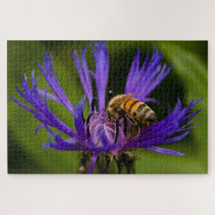 Foto van een mooie paarse bloem met honingbij legpuzzel