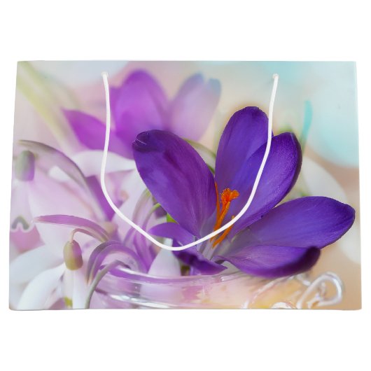 Foto van een  Paarse Lente Crocus Groot Cadeauzakje (Voorkant)