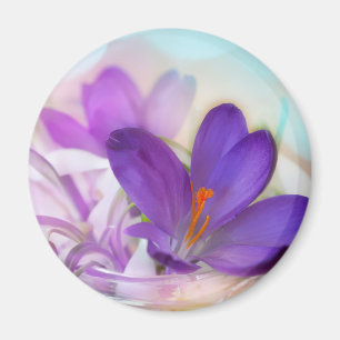 Foto van een Paarse Lente Crocus Magneet