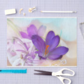 Foto van een  Paarse Lente Crocus Tissuepapier (Craft)