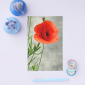 Foto van één papaverbloem flyer (Enkel)