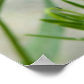 Foto van één papaverbloem poster (Hoek)